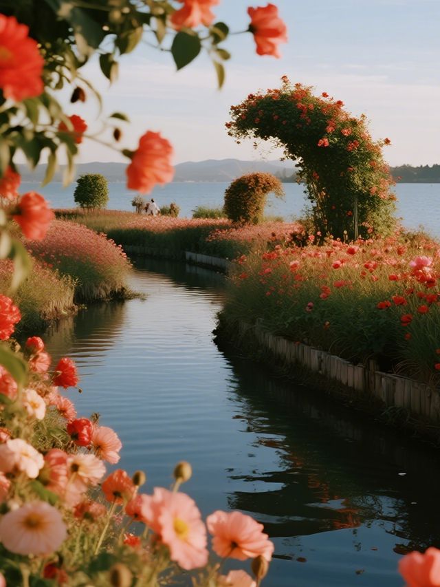 別只念京都！上海這片“海上楓林”美成童話