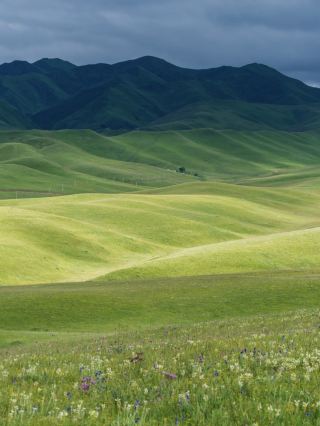 ฉันถูกถามมาเยอะมาก! นี่ไม่ใช่ซินเจียงหรือสวิตเซอร์แลนด์ แต่เป็นทุ่งหญ้าซางเค่อในกานหนาน!