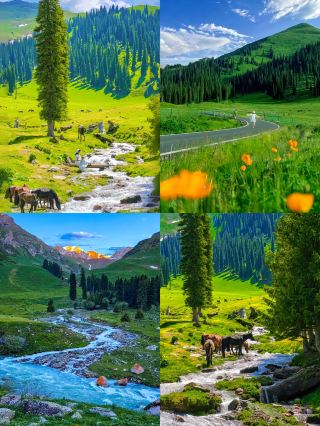 伊犁深度純玩8日環線遊