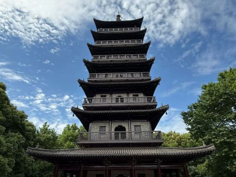Check in at the hydrangea feast in Zhejiang's 5A scenic area, open
