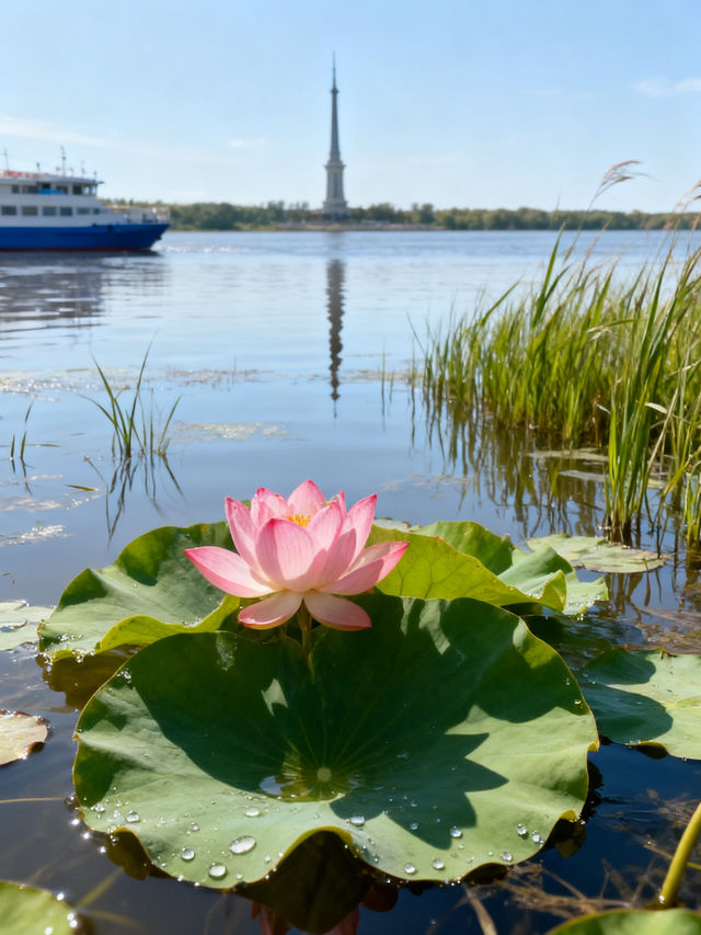 A Summer Escape Guide to Harbin, the Ice City Summer Capital | Trip.com ...