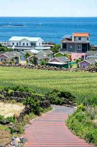 去濟州島直接抄這份路線！果凍海原圖直出