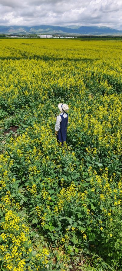Beautiful Xinjiang] A must-visit in northern Xinjiang! This