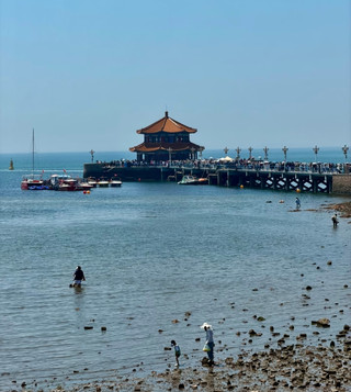 青島棧橋赴約！和漫天海鷗共度浪漫海邊時光