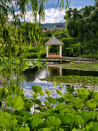 Amazing! Found a cool summer retreat in Yuxi! Perfect for zoning out~