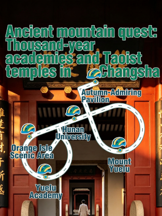 Exploring ancient forests: a one-day cultural tour of Changsha’s millennium-old academy and Taoist temple