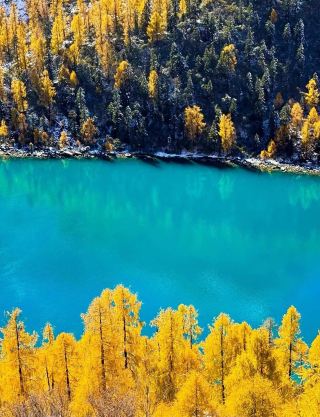 A letter from autumn: I found a golden kingdom from a fairy tale in Dangling