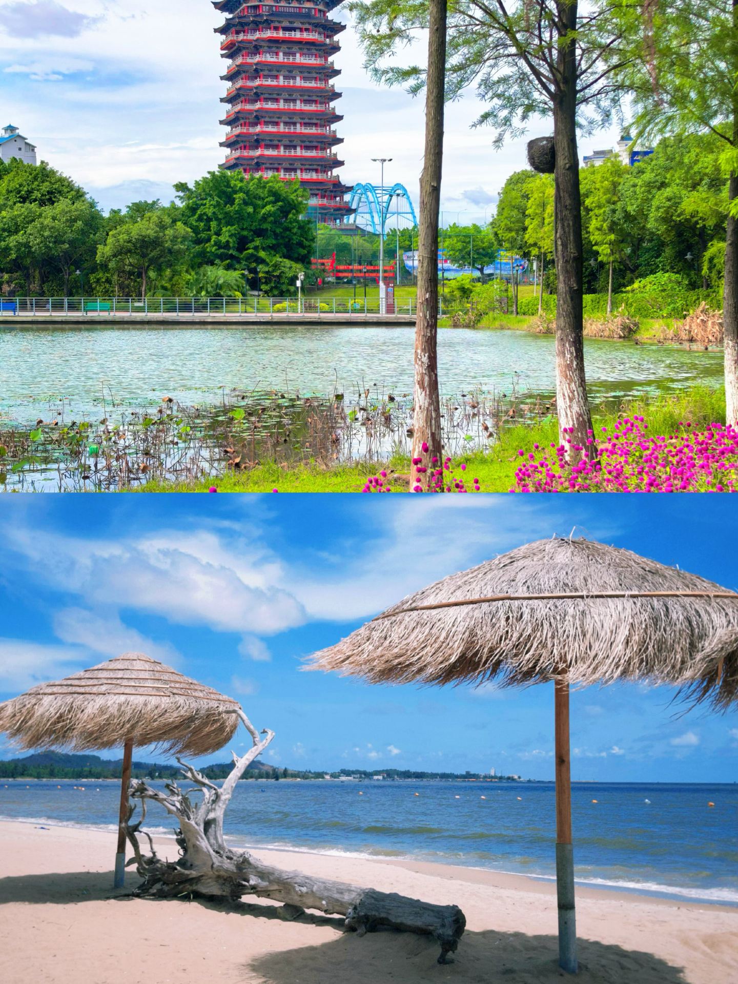 Back from my Qinzhou trip and it was a struggle | I really don't recommend visiting in September–October because it's just too...