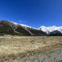The Sheepdog Memorial @ Lake Tekapo