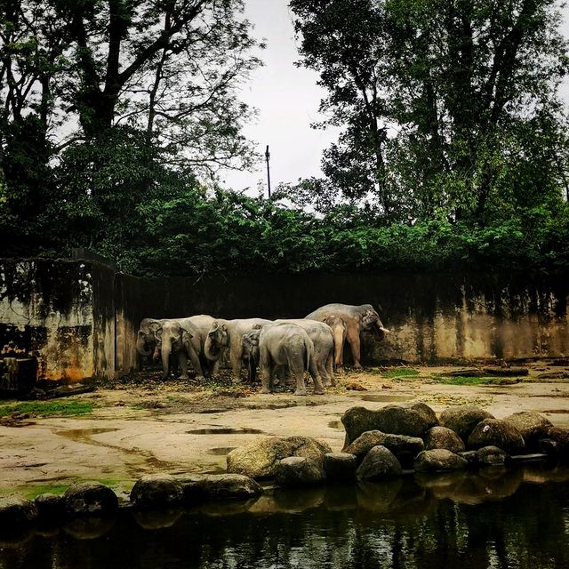 Best Zoo 🌺
