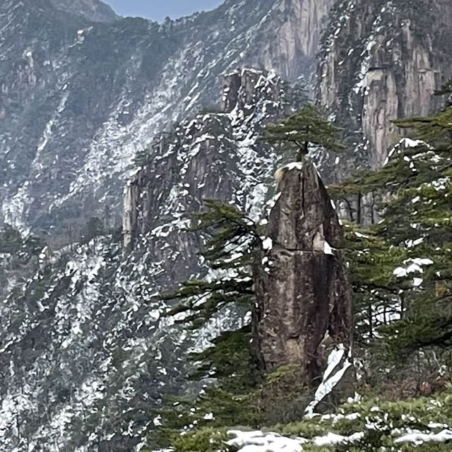 黄山を見ずして山を見たと言うなかれ。高圧的ですが納得です