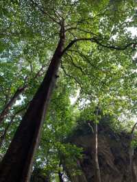 Pawon Cave - stunning views from nature 