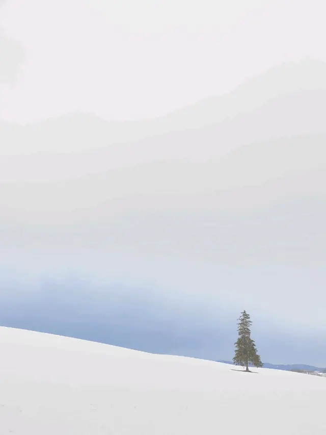 ☃️겨울  삿포로 버스투어