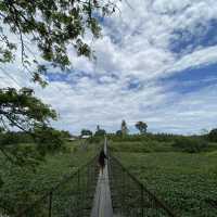 Kota Kinabalu the beautiful Borneo city