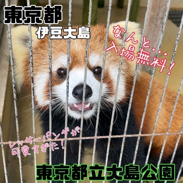 【東京都/伊豆大島】東京都立大島公園動物園
