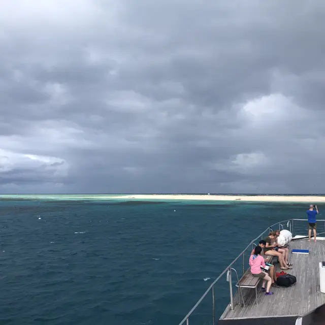 [Cairns🇦🇺] Michaelmas Cay, an island made entirely of sand