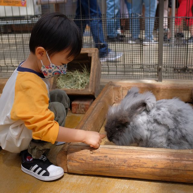 【 近距離親親小動物。神戶動物王國 】