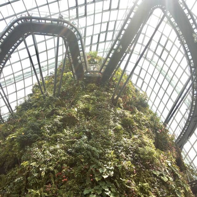 Surreal sights at Gardens By the Bay🌺😱🥹🫰