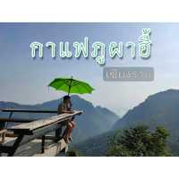 กาแฟภูผาฮี้ เชียงราย