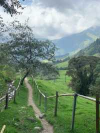 Picturesque scenery in Salento, Colombia