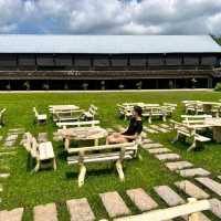 Fun Day in Borneo Happy Farm