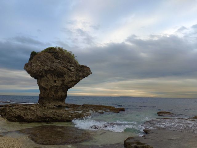 頭上長草的岩石🌿琉球海上《花瓶岩》🪨