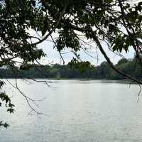 🌳 เดินเที่ยวชมทะเลสาบฮหว่านเกี๊ยม ฮานอย ⛅ 