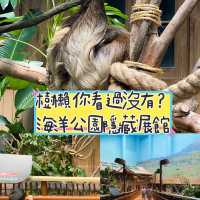 《近距離睇樹懶🦥隱藏的新展館🤩》