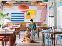 โรงแรมหัวหิน หมาพักได้