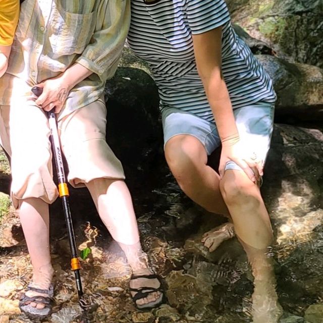 녹음이 우거진 숲길 물소리 들으며 원주 용문사에서 즐거운 오후