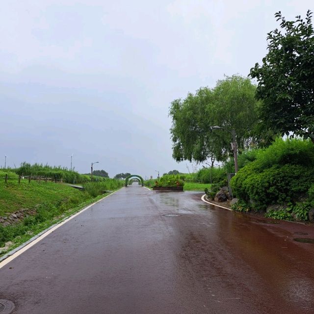 韓國景點📸天空公園🥰親親大自然⭐打卡熱點😍