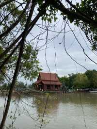 ใครเห็นโพสต์นี้ คุณคือโชคดี 🙏🏻 #วัดป่าคลอง11ปทุม