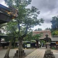 Beautiful Buddhist temple 