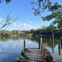 ️🌳🤸羅東運動公園～運動好玩又充滿活力！🏃‍♀️🌳