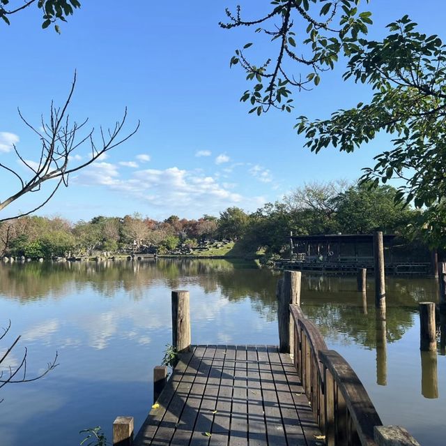️🌳🤸羅東運動公園～運動好玩又充滿活力！🏃‍♀️🌳