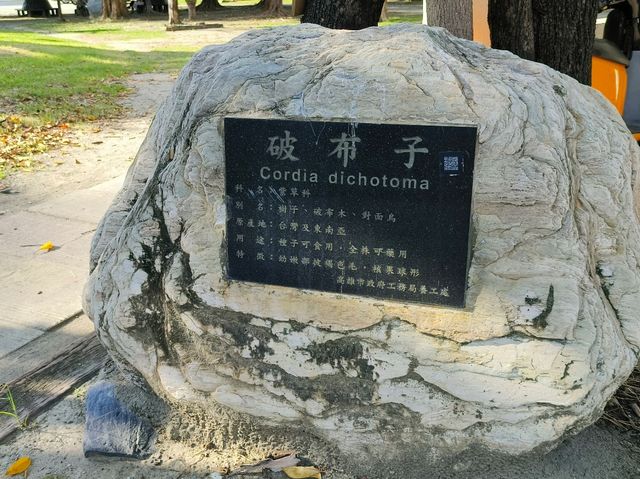 高雄前金-下棋乘涼走迷宮|中央公園|（像渡假村的超大型公園）