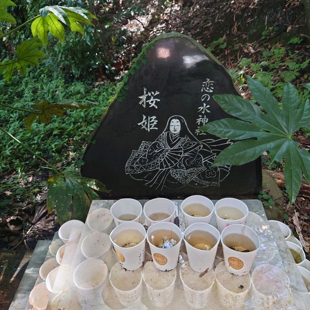 愛知旅行！恋の水神社