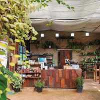 Akipu Coffee  (อะกิปุ ) จ.เชียงใหม่