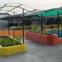 Rooftop Community Garden 