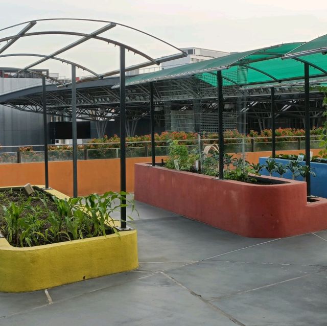 Rooftop Community Garden 
