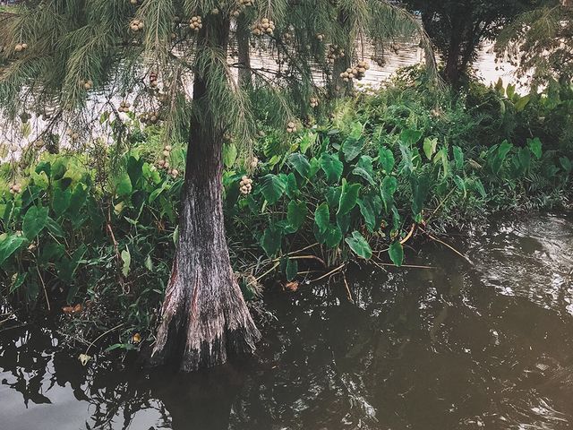 遊廣州📍環遊海珠湖