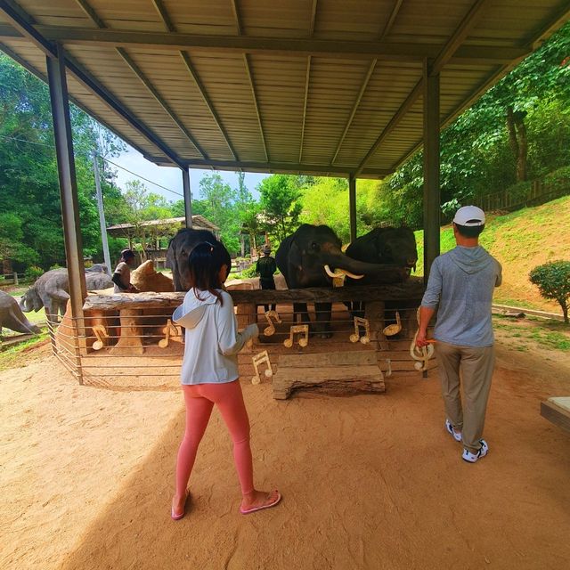 "Jumbo Joy: Rescuing and Reviving Elephants"