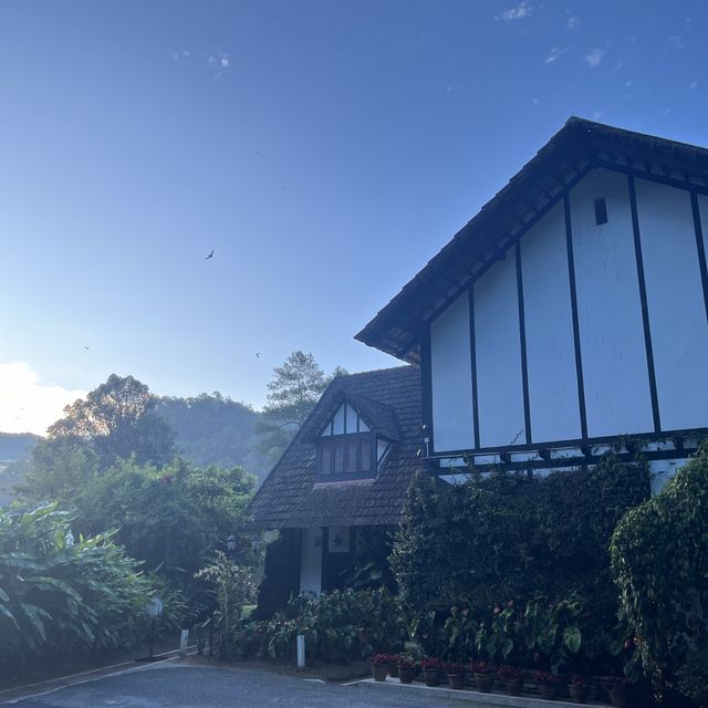 20 degree summer at Cameron Highland 