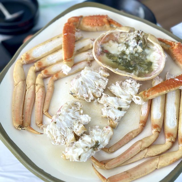 강원도 속초 회+대게 맛집