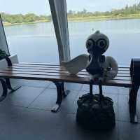香港人後花園☺️雀鳥嘅天堂🪿🦆🐦‍⬛