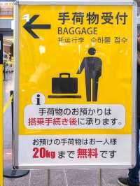 スカイマークで国内旅行