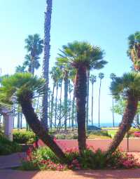 Beautiful Santa Barbara Beach