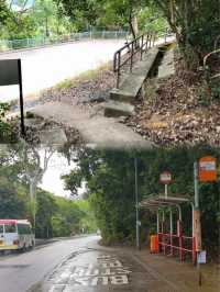 香港新手行山🍀茅坪藤皇+竹林隧道路線