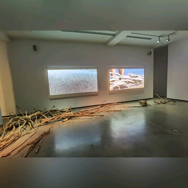 澳洲當代藝術博物館館