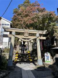【静岡】修善寺温泉街の観光スポット7選